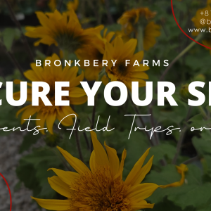 Vendor Fee & Deposit Payments